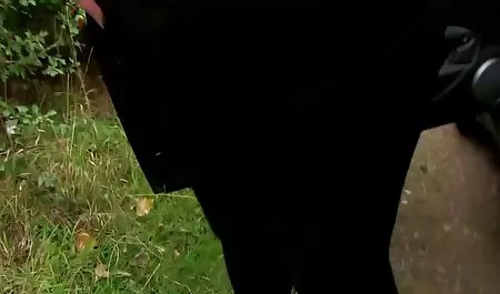 To w połączeniu sex fotki dojrzałych kobiet z masażem ciała
